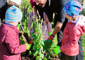 przedszkolaki obserwują instruktora, który sadzi rośliny do skrzynki w ogrodzie przedszkolnym