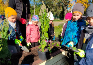 dzieci sadzą rośliny w skrzynkach w ogrodzie przedszkolnym