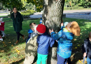 przedszkolaki w parku stoją pod drzewem i wypatrują wiewiórki