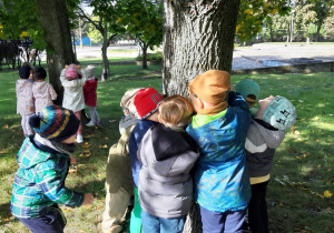 przedszkolaki w parku stoją pod drzewami i wypatrują wiewiórki