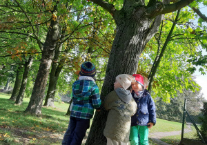 chłopcy stoją pod drzewem