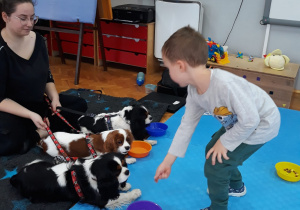 instruktorka trzyma trzy psy na smyczy a chłopiec wskazuje ich miski