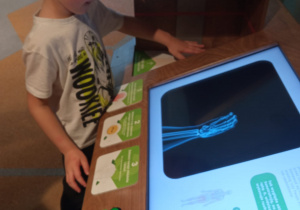 chłopiec obserwuje jak zbudowana jest ręka człowieka dzięki rentgenowi