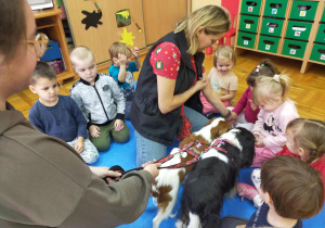 dzieci uczą się karmić psy z dłoni