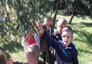 dzieci stoją pod drzewem iglastym i dotykają igieł