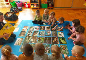 przedszkolaki oglądają zdjęcia zwierząt rozłożone na dywanie