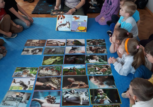 dzieci oglądają obrazki zwierząt trzymanych w domach ludzi i rozmawiają o nich