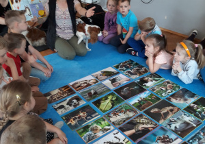 dzieci oglądają obrazki zwierząt trzymanych w domach ludzi i rozmawiają o nich