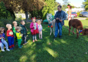 w ogrodzie przedszkolnym dzieci słuchają opiekuna, który trzyma dwie alpaki