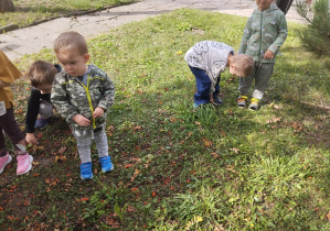 chopcy zbierają korale jarzębiny pod drzewem w ogrodzie przedszkolnym