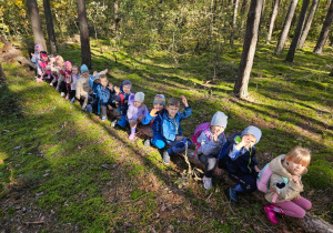 dzieci z grupy VI siedzą na powalonym drzewie jeden za drugim