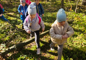 dzieci przechodzą przez zwalony pień drzewa