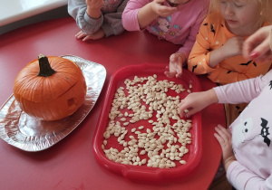 przedszkolaki oglądają i smakują pestki dyni