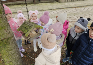 w ogrodzie przed przedszkolem przedszkolaki zaglądają do karmnika z karmą dla ptaków