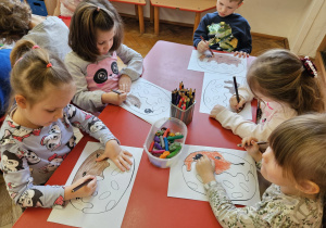 Zdjęcie 11 na 13