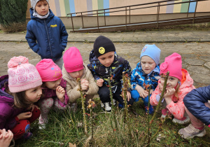 Zdjęcie 18 na 21
