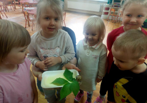 Zdjęcie 6 na 15