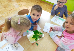 Zdjęcie 15 na 15