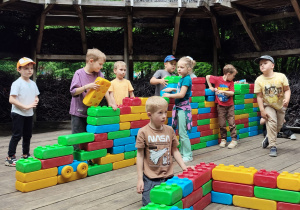 Zdjęcie 14 na 19