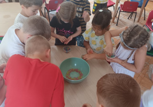 Zdjęcie 11 na 15