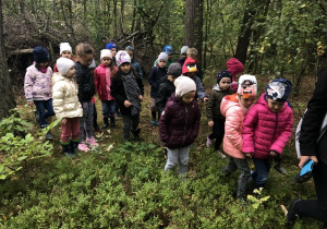 dzieci oglądają w lesie krzaki jagód