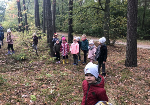 dzieci stoją w lesie
