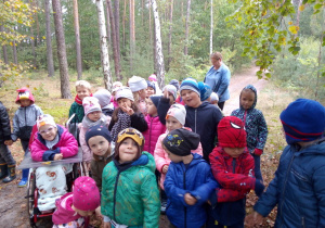 dzieci wchodzą do lasu