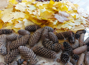 Ścieżka sensoryczna