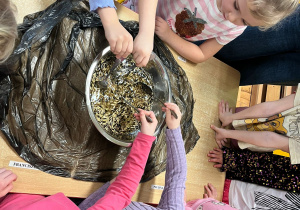 dzieci mieszają ziarna wsypane do miski z wodą