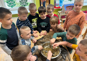 chłopcy mieszają ziarna wsypane do miski z wodą