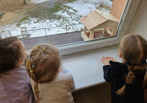 dzieci patrzą na karmnik umieszczony na parapecie okna sali