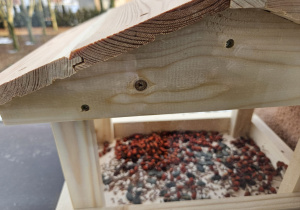 karmnik z nasionami dla ptaków