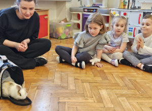 Króliczek a może zajączek