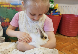 dziewczynka głaszcze królika