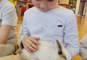 chłopiec głaszcze królika